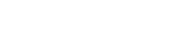 sns new1 logo